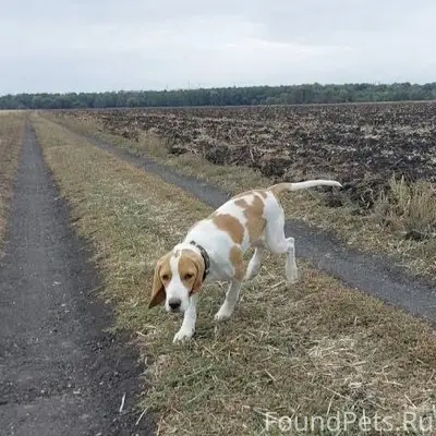Помогите найти! Пропала молода...
