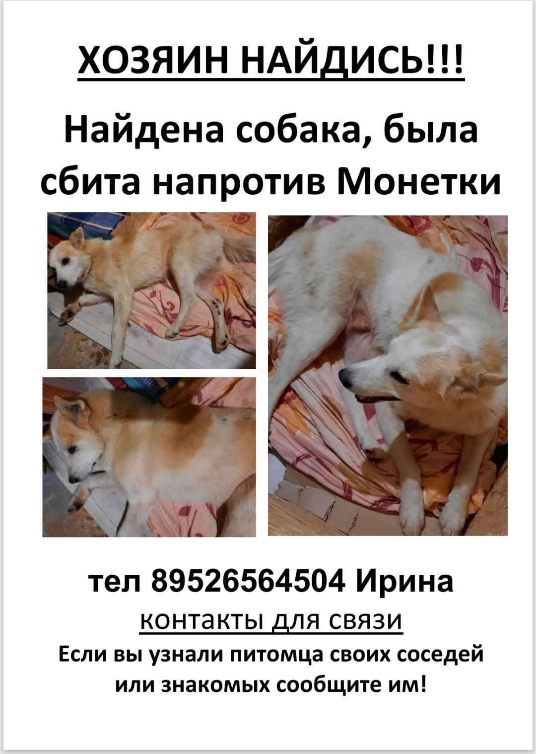 ❗️❗️❗️С.Юсьва, хозяева найдите...