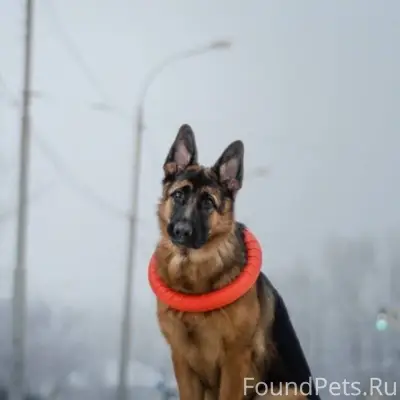 Дорогие друзья , у моих знаком...