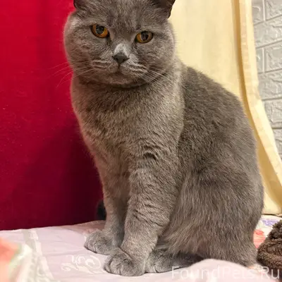 Помогите найти малыша🙏 В ночь ...