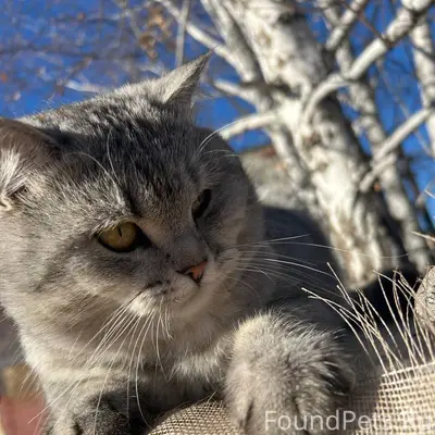 🆘🆘🆘🆘🆘🆘🆘🆘🆘🆘 Друзья, прошу макси...