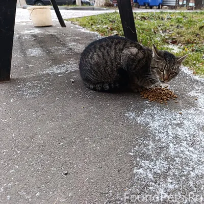 Новочебоксарск! Не так давно в...