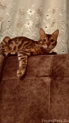 📍ул. Твардовского 22/3, Первом...