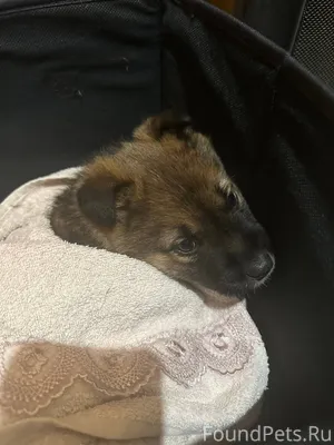 СРОЧНО НУЖНА ПЕРЕДЕРЖКА ИЛИ ДО...