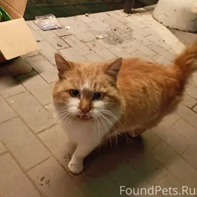 СРОЧНО ПО ВСЕМ ГРУППАМ ПОМОЩИ ...