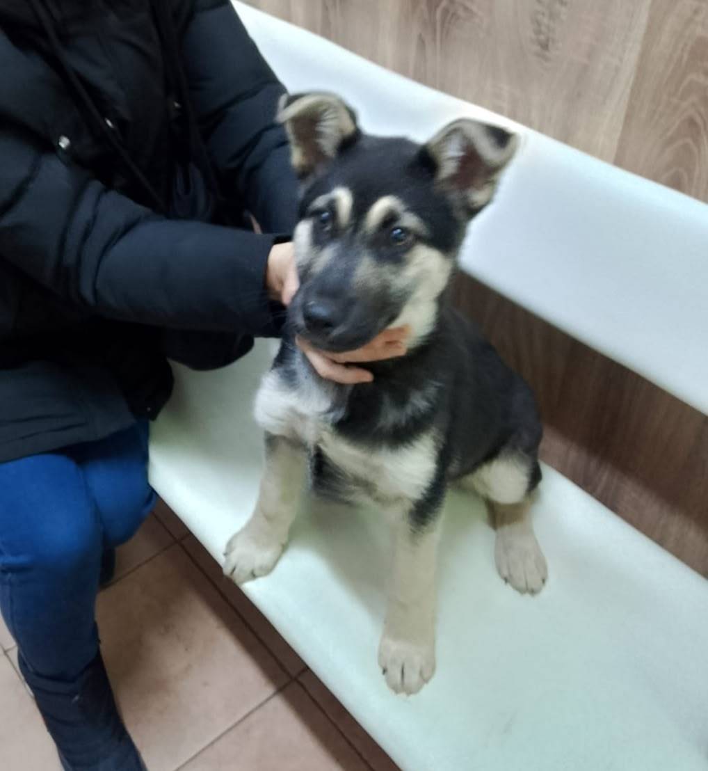 Г. Воскресенск МО Сегодня 08.1...