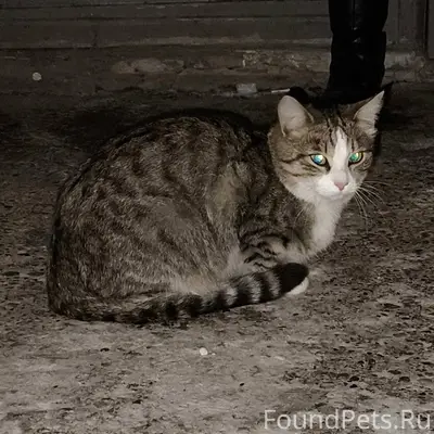 БОРОВСК Ранний пост про молодо...