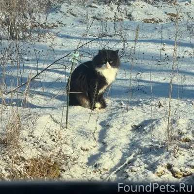 От населения . Найден шикарный...