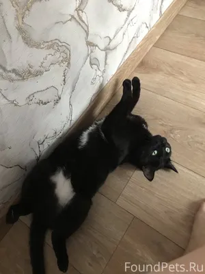 Здравствуйте! Больше года наза...