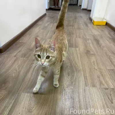 Во дворе Украинской 34 найдена...