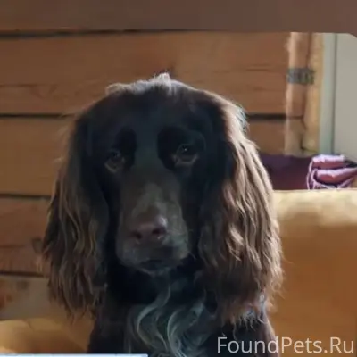 SOS Добрый день! В нашей семье...