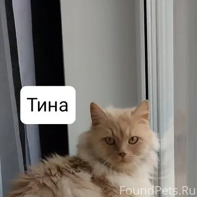 МО г Талдом, Дмитров, Дубна и....