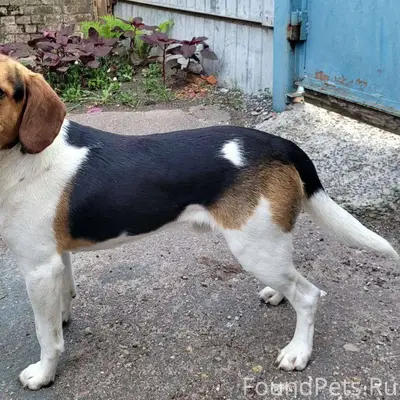 Друзья, просим помощи❗️❗️❗️ В ...