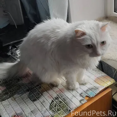 Кто живет в районе 49 квартала...