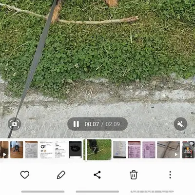 Убежал 07.12.2025. ягдтерьер щ...