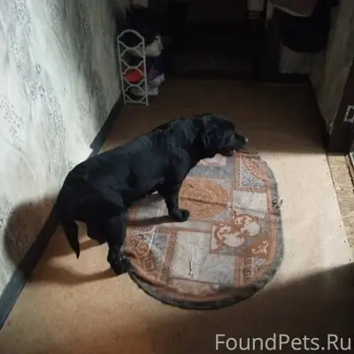 Вот такая красавица была найде...