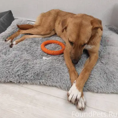 ⚠️Помогаем информационно ⚠️ К ...