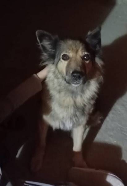 Всем привет. На прошлой неделе...