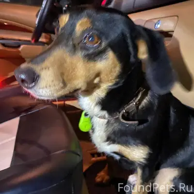 ‼️‼️‼️‼️‼️‼️‼️‼️‼️‼️‼️‼️ Богор...