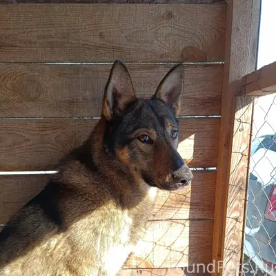 🆘️ЩЕКИНО 🆘️ ВЧЕРА 8.12.25...