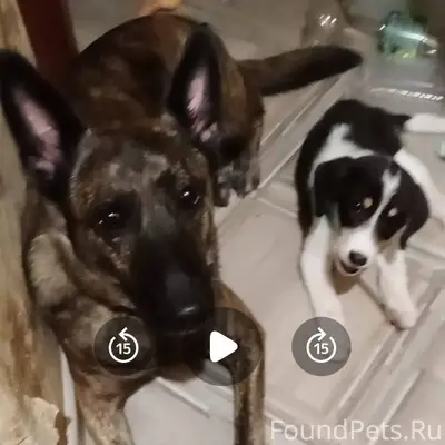 В районе 15.00 в 5...