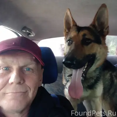 ❗Помогите найти собаку! ❗ ❗У м...