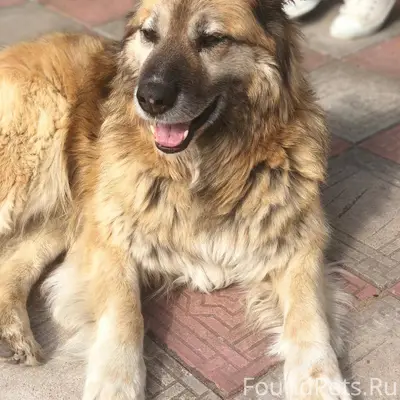 Мариенбург, Гатчина и ЛО!!! ПО...