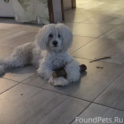 Здравствуйте! По ул. Летней сб...