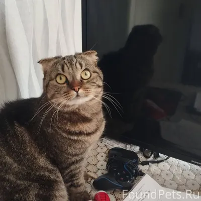 ‼️Внимание‼️Малиновка‼️Р-н "Пя...