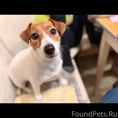 Доброе утро Испугалась фейерве...