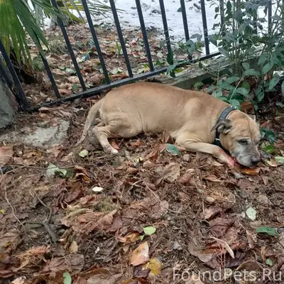 Максимальный репост помогите у...