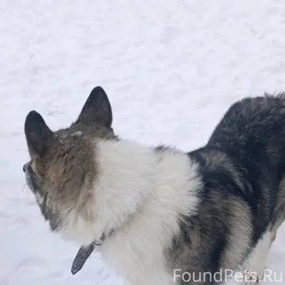 Добрый день жители Кашина! Сег...