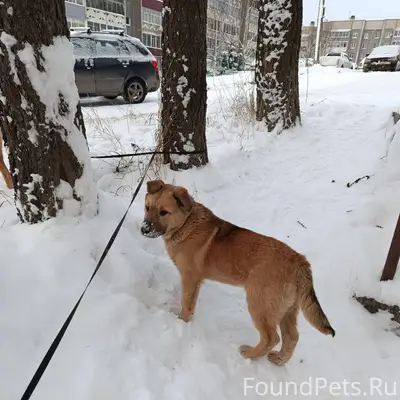 Сегодня 1.01 примерно в 6...