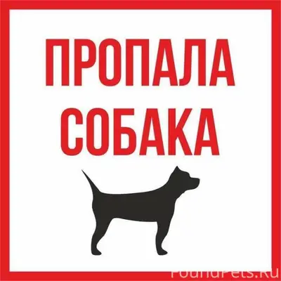 Прошу максимальный репост! В р...