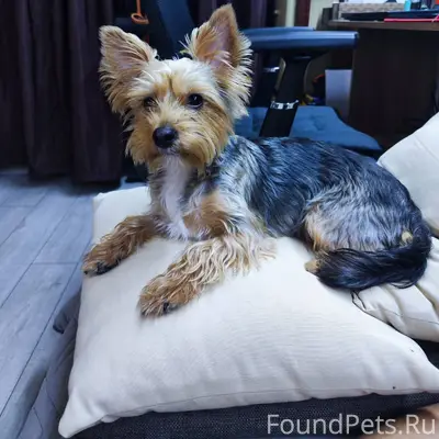 Убежала с 31.12 на 1...