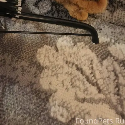 Друзья помогите распространить...