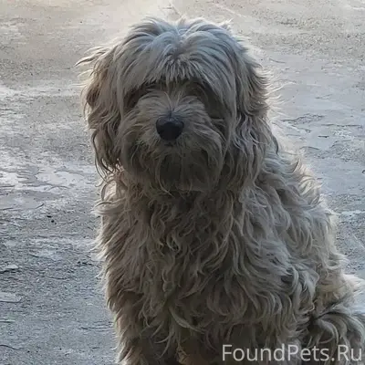 ПРОШУ МАКСИМАЛЬНЫЙ РЕПОСТ‼️ По...