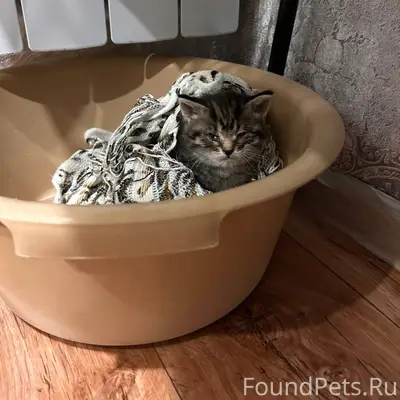 Сегодня в 1 микрорайоне в сугр...