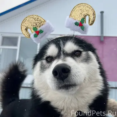 Здравствуйте. В районе Сосново...