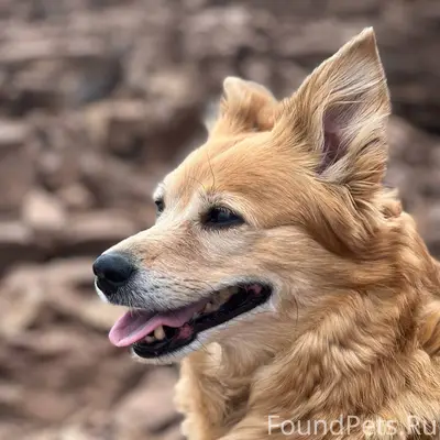 Пожалуйста, помогите 🙏🙏🙏 Волжс...