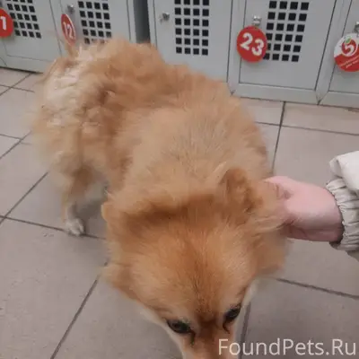 У магазина «Пятерочка» на ул.М...