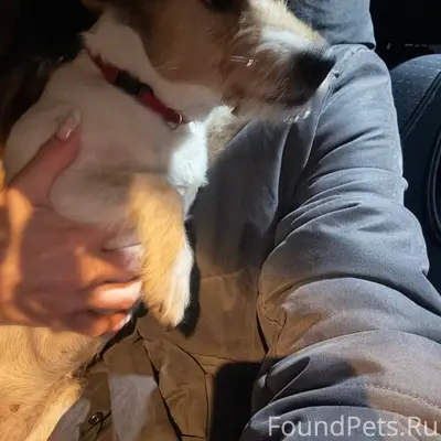 На новом шоссе в районе снт...