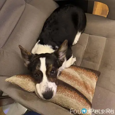 📍📍📍Москва, ВАО, Метрогородок О...