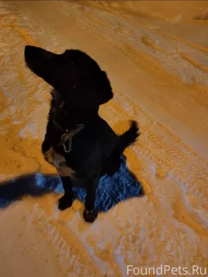 Нижняя Салда На Медянке бегает...