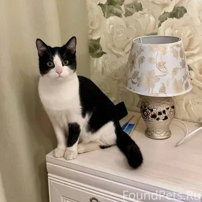 В районе улиц Васильковского/Э...