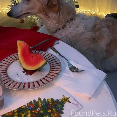 Красноярск , пос. Заповедный!!...