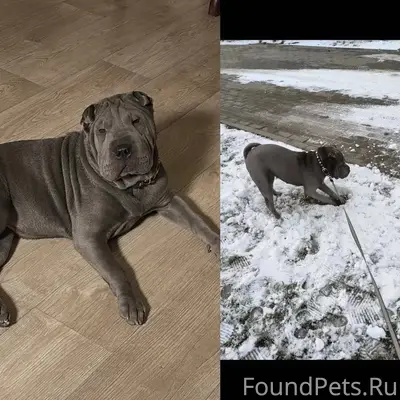 В новогоднюю ночь в 00:10...