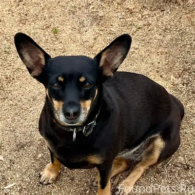 Помогите пожалуйста !!!! Пропа...