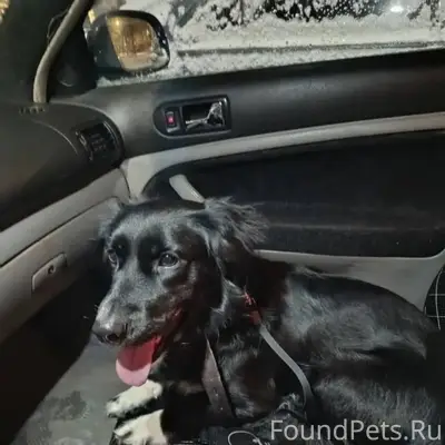 Фрязино. 1 января ночью найден...