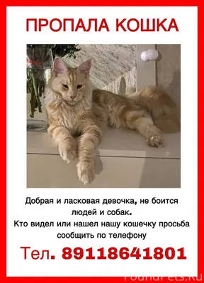 Дорогие друзья , прощу помощи ...